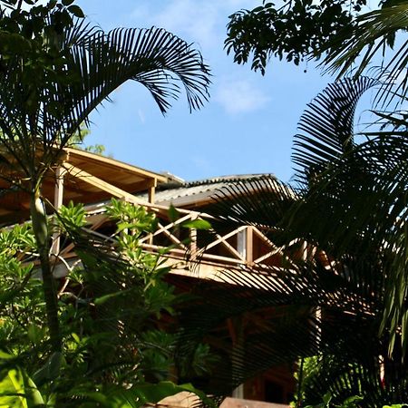 Eden Jungle Lodge Bocas del Toro Eksteriør bilde