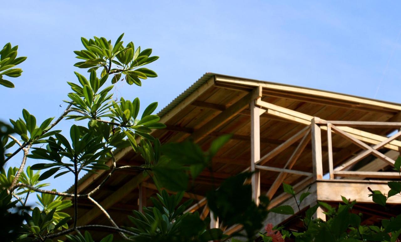 Eden Jungle Lodge Bocas del Toro Eksteriør bilde