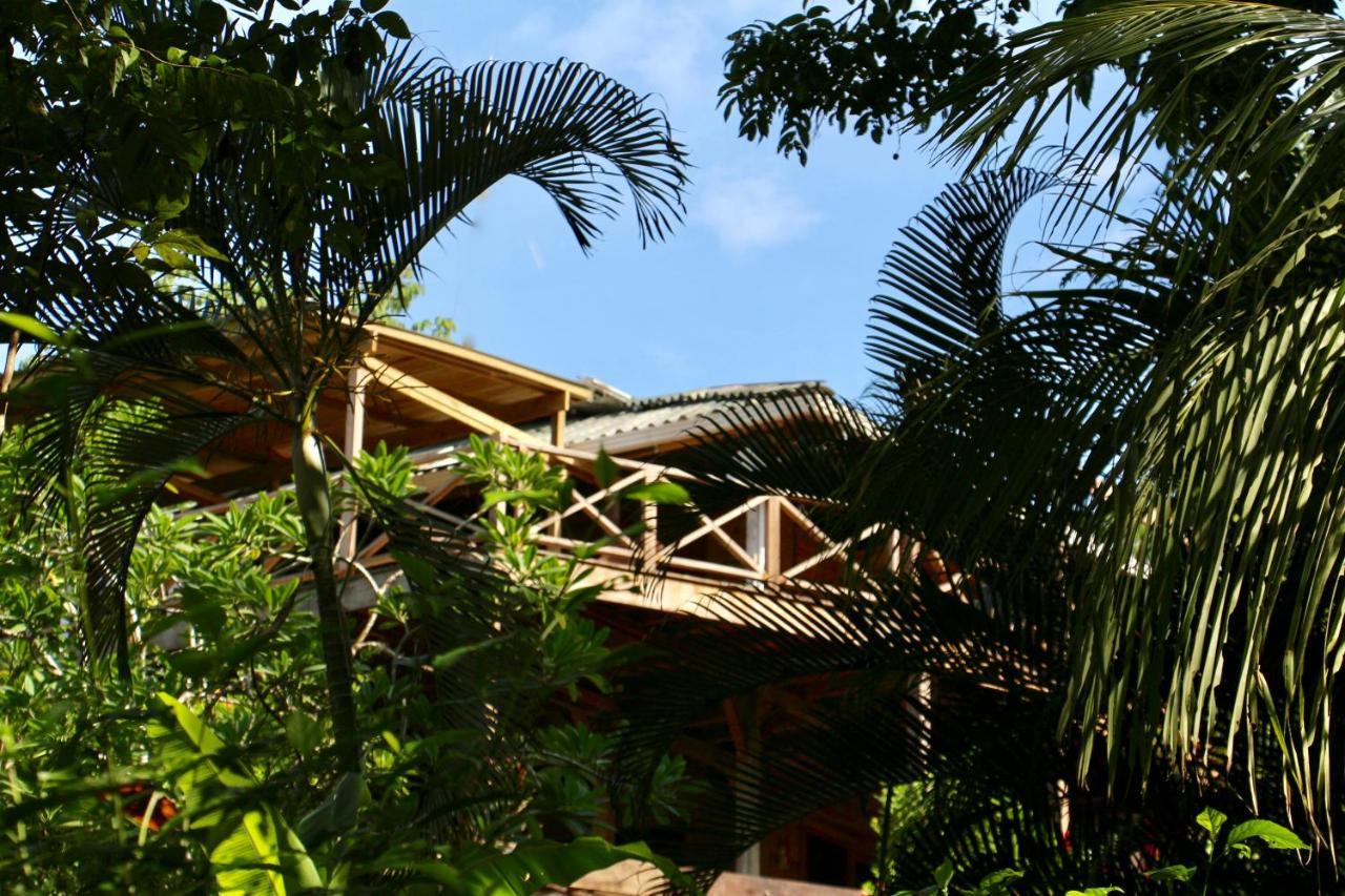 Eden Jungle Lodge Bocas del Toro Eksteriør bilde