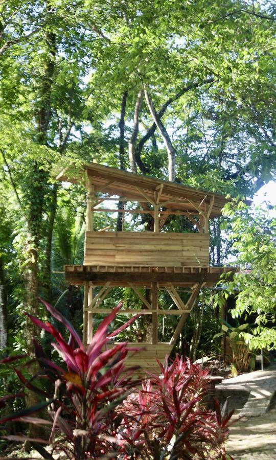 Eden Jungle Lodge Bocas del Toro Eksteriør bilde