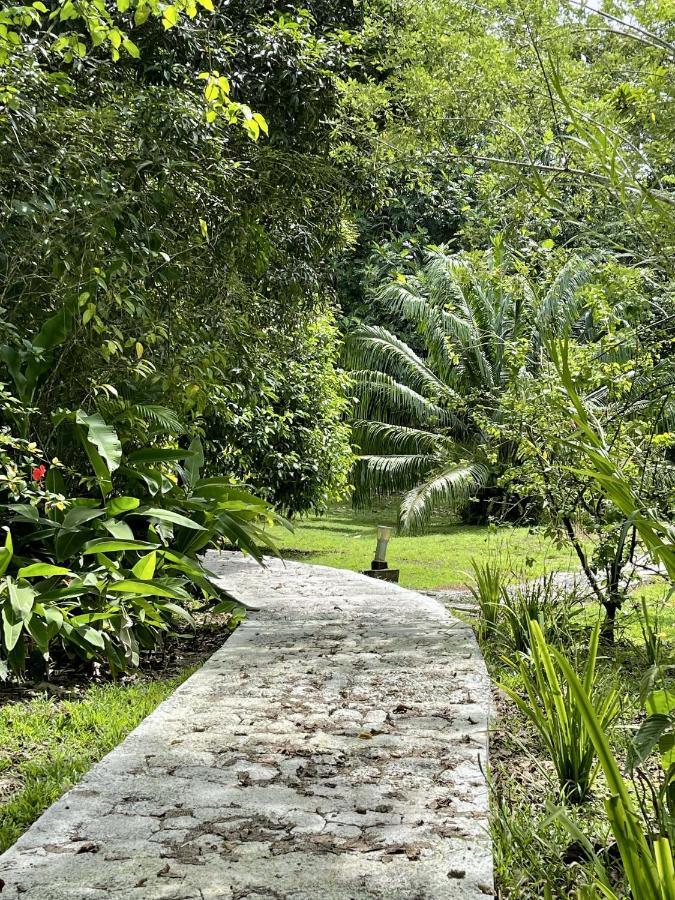 Eden Jungle Lodge Bocas del Toro Eksteriør bilde