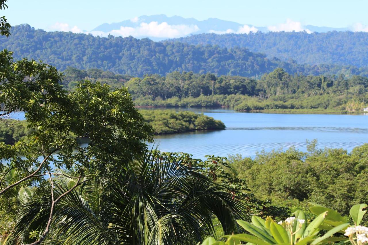 Eden Jungle Lodge Bocas del Toro Eksteriør bilde