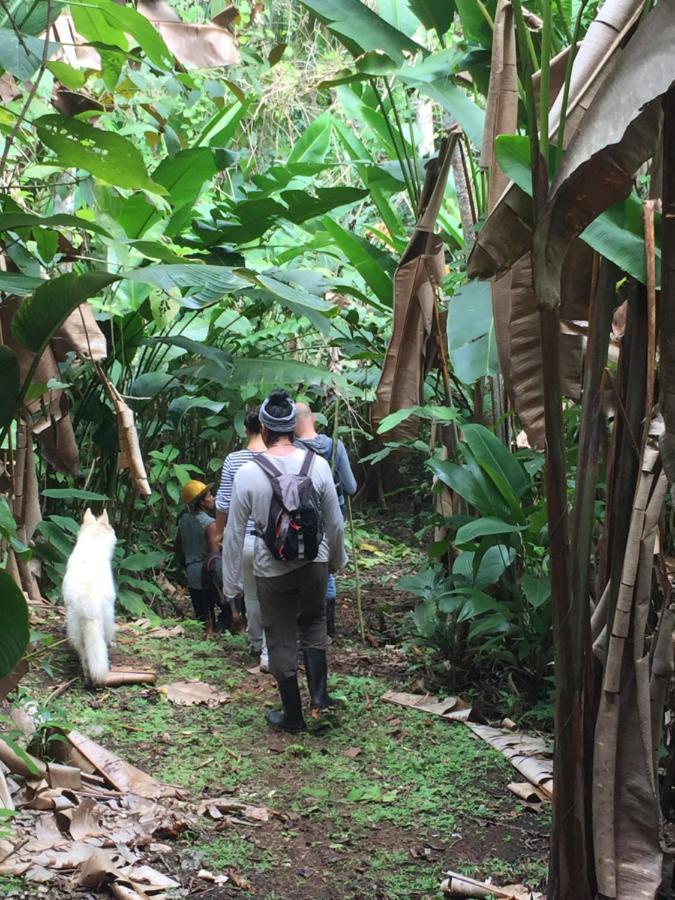 Eden Jungle Lodge Bocas del Toro Eksteriør bilde