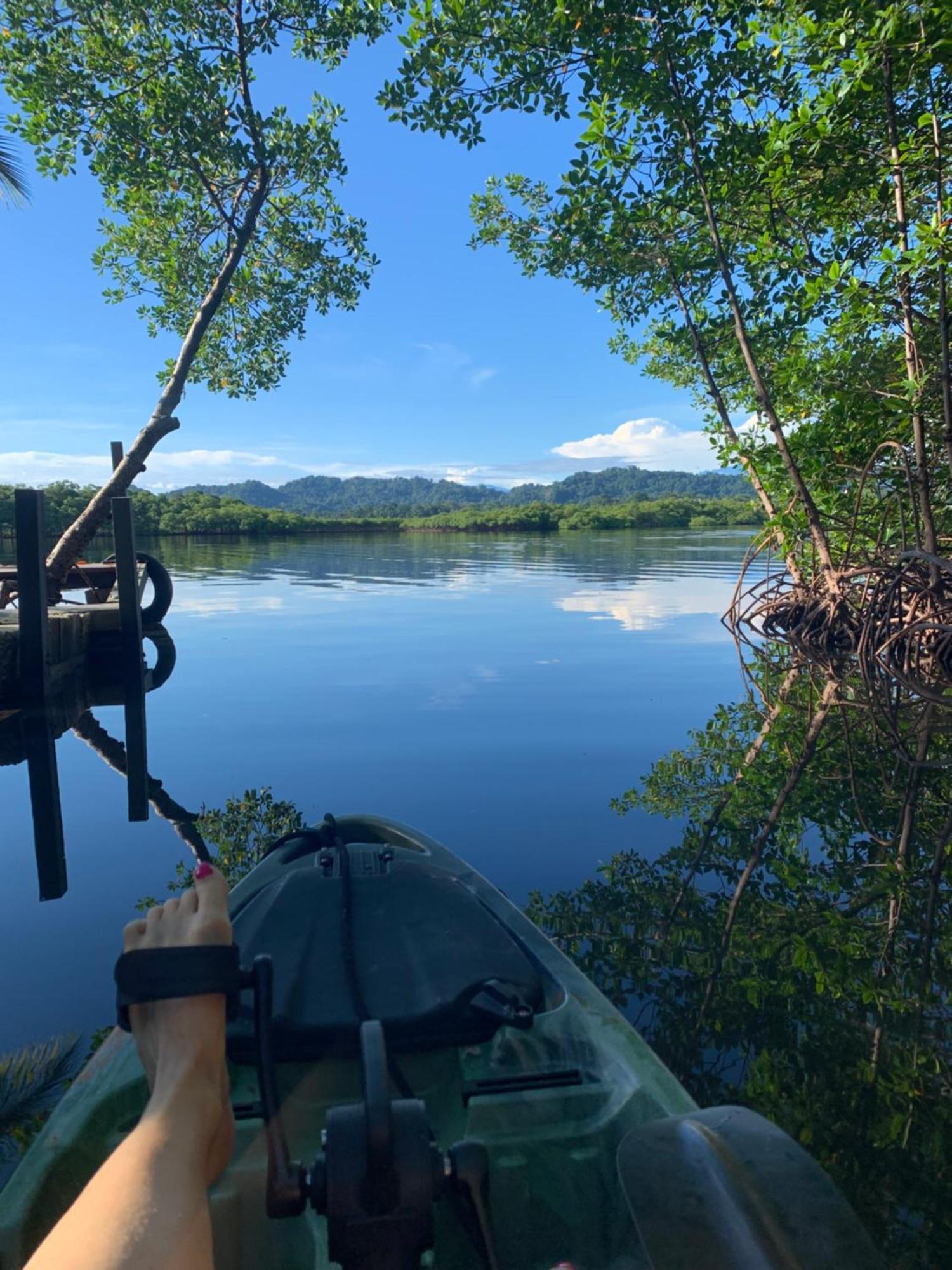 Eden Jungle Lodge Bocas del Toro Eksteriør bilde