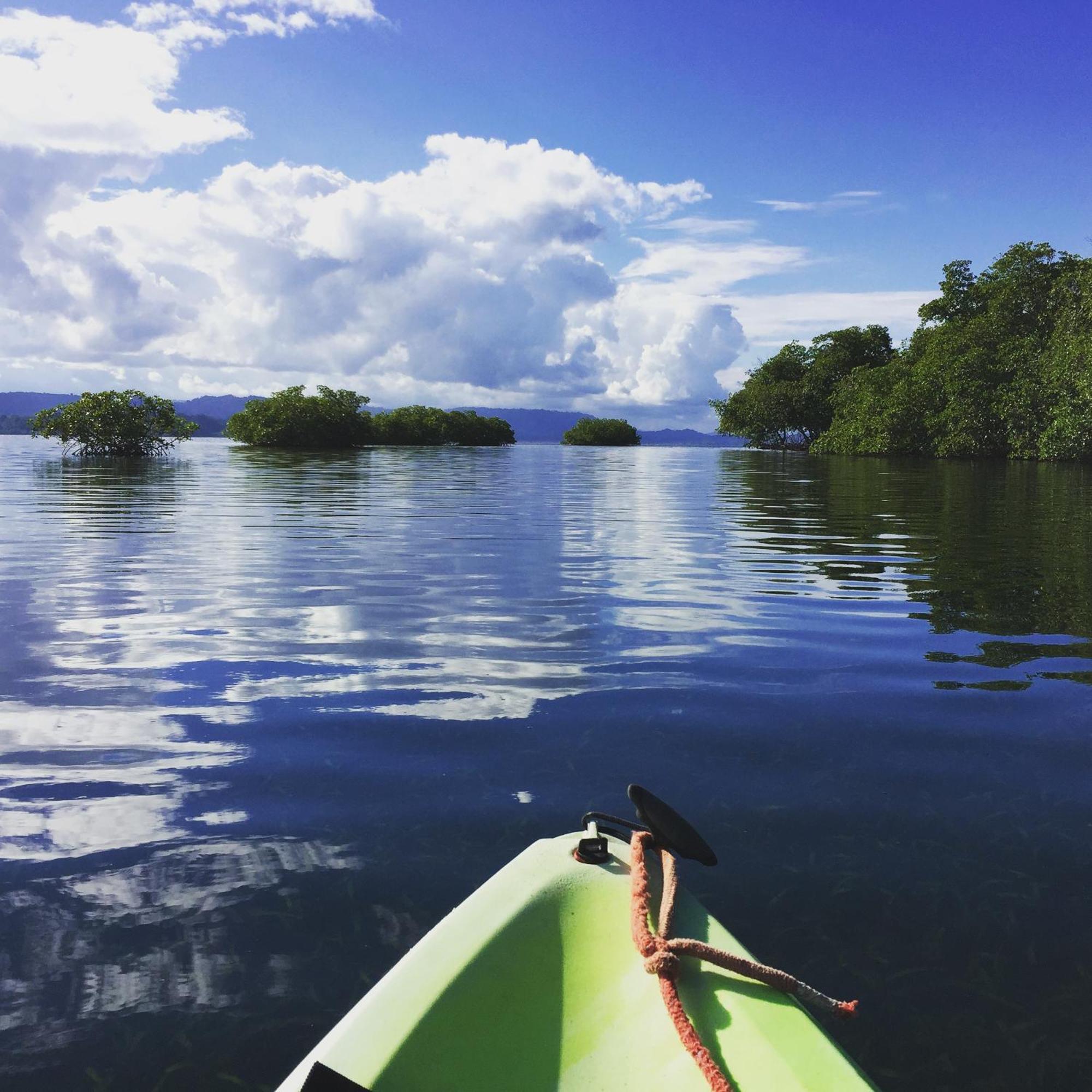 Eden Jungle Lodge Bocas del Toro Eksteriør bilde
