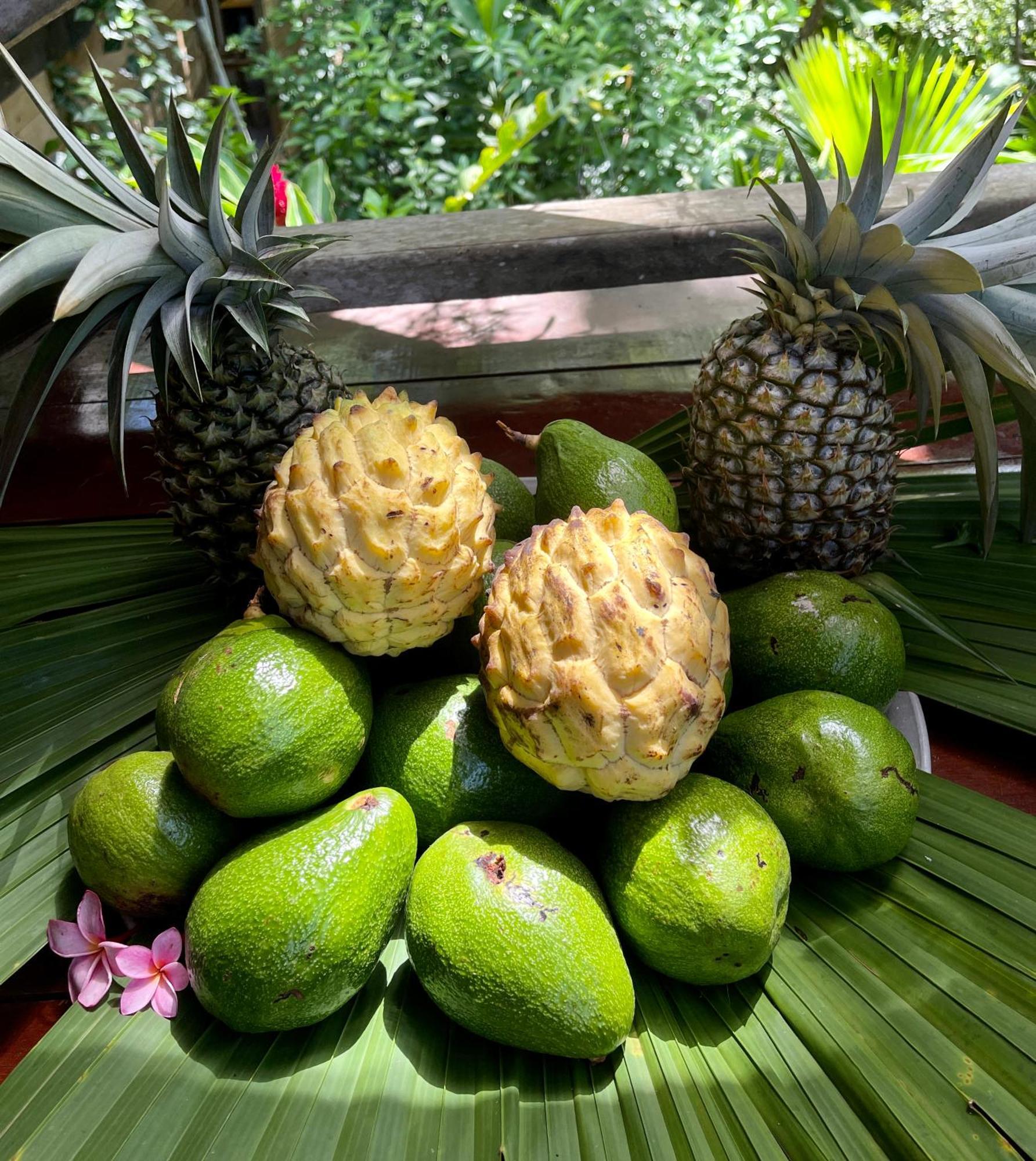 Eden Jungle Lodge Bocas del Toro Eksteriør bilde