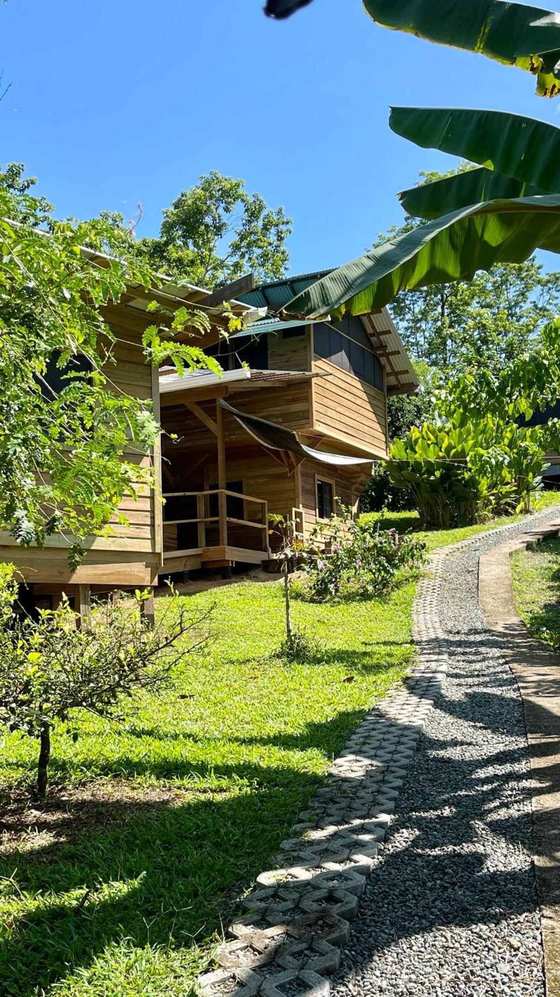 Eden Jungle Lodge Bocas del Toro Eksteriør bilde