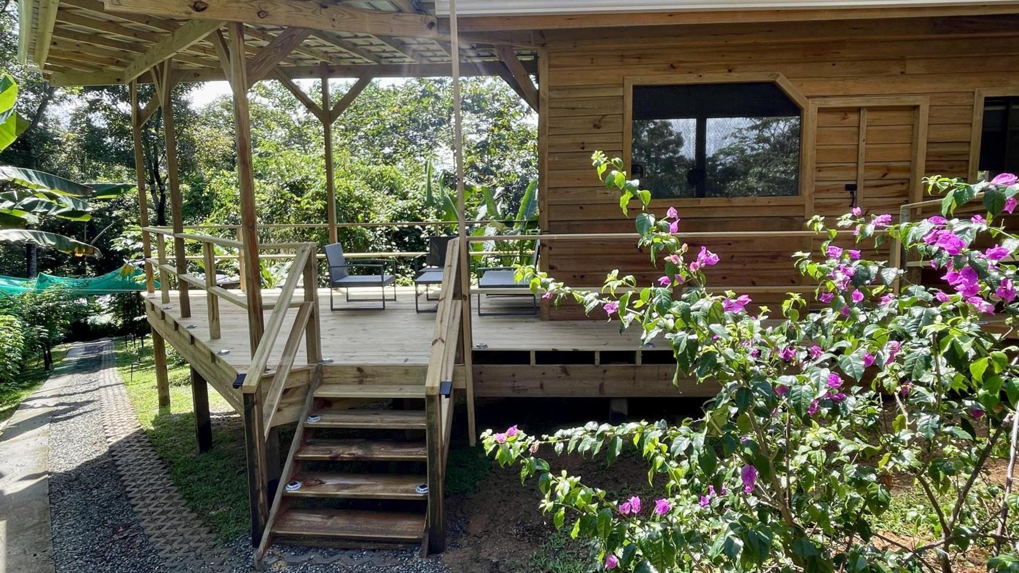 Eden Jungle Lodge Bocas del Toro Eksteriør bilde