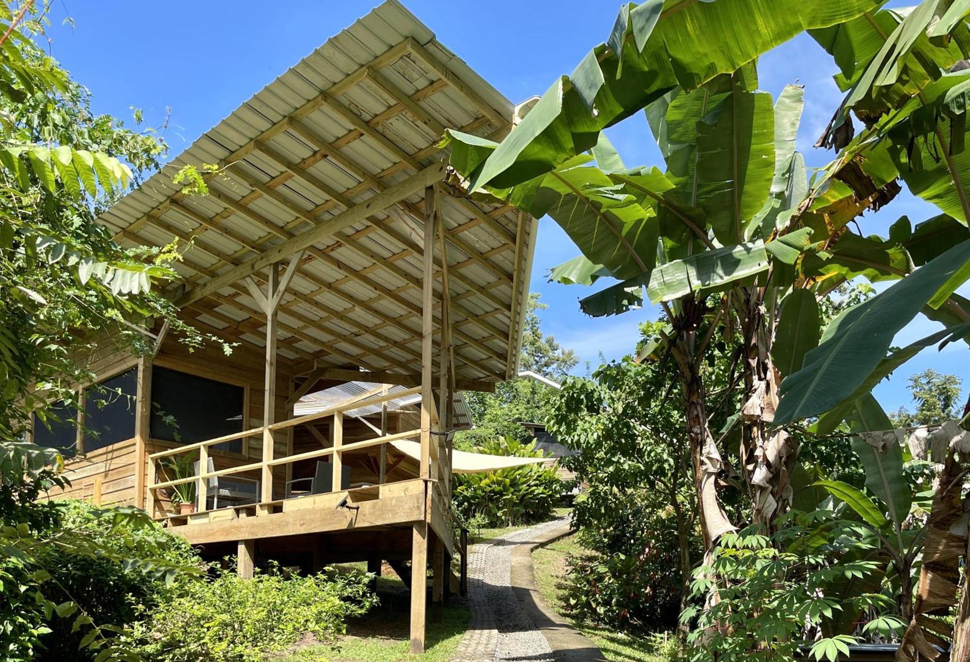 Eden Jungle Lodge Bocas del Toro Eksteriør bilde